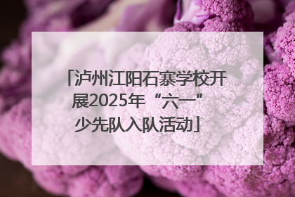 泸州江阳石寨学校开展2025年“六一”少先队入队活动