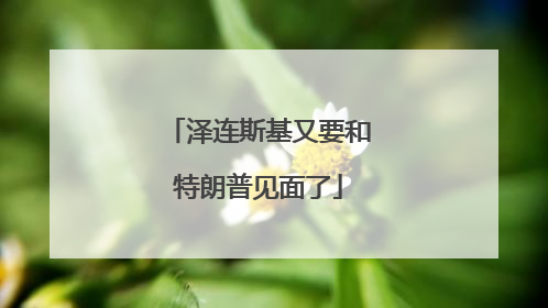 泽连斯基又要和特朗普见面了
