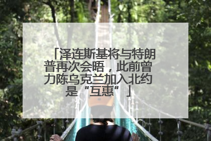 泽连斯基将与特朗普再次会晤，此前曾力陈乌克兰加入北约是“互惠”