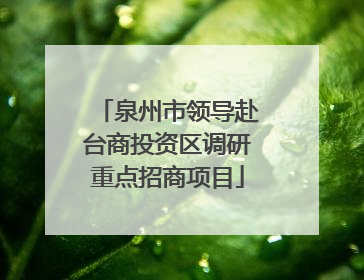 泉州市领导赴台商投资区调研重点招商项目