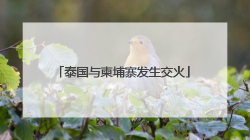 泰国与柬埔寨发生交火