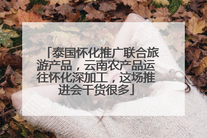 泰国怀化推广联合旅游产品，云南农产品运往怀化深加工，这场推进会干货很多
