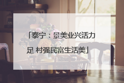 泰宁：景美业兴活力足 村强民富生活美