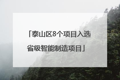 泰山区8个项目入选省级智能制造项目