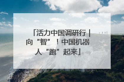 活力中国调研行｜向“智”！中国机器人“跑”起来