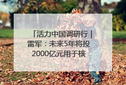 活力中国调研行｜雷军：未来5年将投2000亿元用于核心技术研发