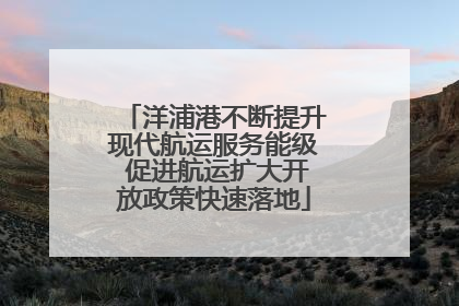 洋浦港不断提升现代航运服务能级 促进航运扩大开放政策快速落地