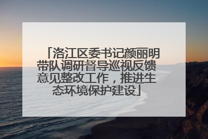 洛江区委书记颜丽明带队调研督导巡视反馈意见整改工作，推进生态环境保护建设