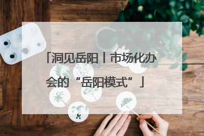 洞见岳阳丨市场化办会的“岳阳模式”