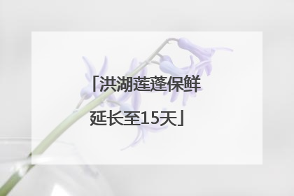洪湖莲蓬保鲜延长至15天
