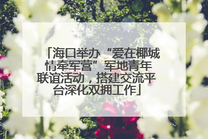 海口举办“爱在椰城 情牵军营”军地青年联谊活动，搭建交流平台深化双拥工作
