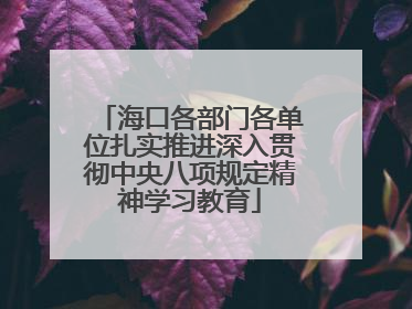 海口各部门各单位扎实推进深入贯彻中央八项规定精神学习教育