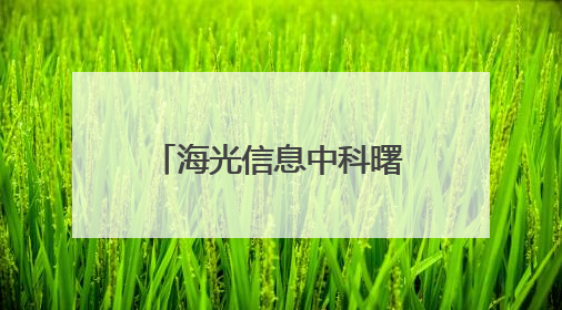 海光信息中科曙光合并停牌，资金杀入ETF基金找“平替”