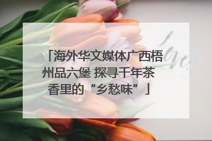 海外华文媒体广西梧州品六堡 探寻千年茶香里的“乡愁味”