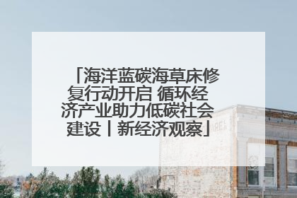 海洋蓝碳海草床修复行动开启 循环经济产业助力低碳社会建设丨新经济观察