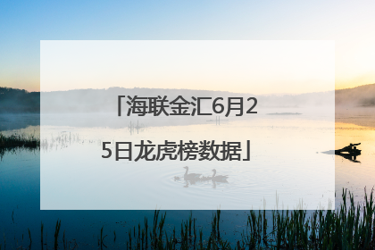 海联金汇6月25日龙虎榜数据