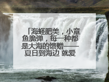 海蛏肥美，小章鱼脆弹，每一种都是大海的馈赠——夏日到海边 就爱那口鲜