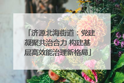济源北海街道：党建凝聚共治合力 构建基层高效能治理新格局