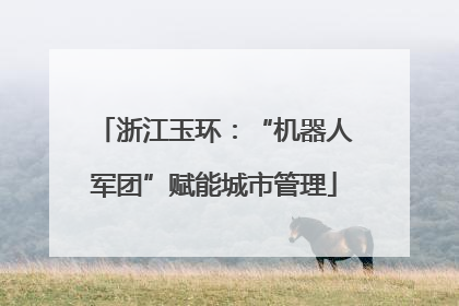 浙江玉环：“机器人军团”赋能城市管理