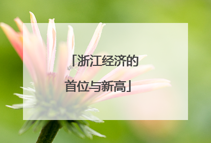 浙江经济的首位与新高