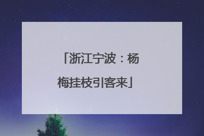浙江宁波：杨梅挂枝引客来