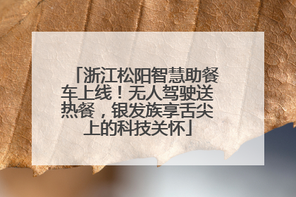 浙江松阳智慧助餐车上线！无人驾驶送热餐，银发族享舌尖上的科技关怀