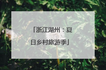 浙江湖州：夏日乡村旅游季