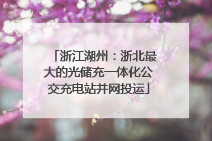 浙江湖州：浙北最大的光储充一体化公交充电站并网投运