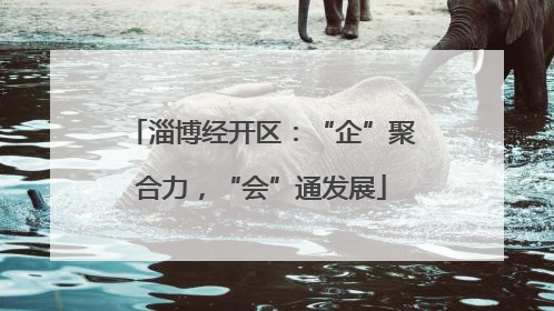 淄博经开区：“企”聚合力，“会”通发展