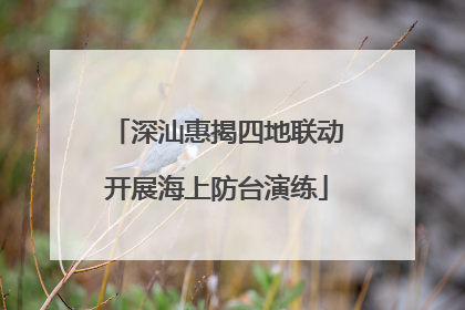 深汕惠揭四地联动开展海上防台演练