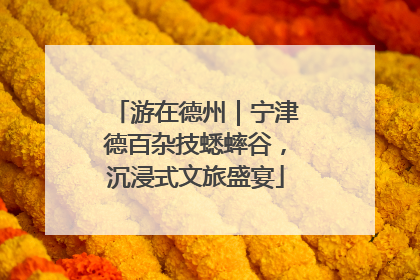 游在德州｜宁津德百杂技蟋蟀谷，沉浸式文旅盛宴
