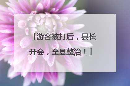 游客被打后，县长开会，全县整治！