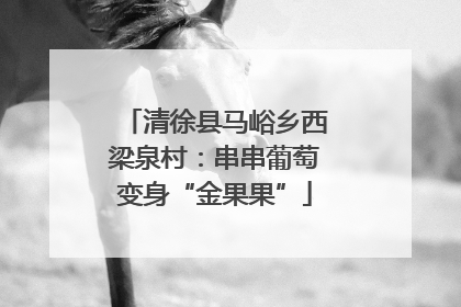 清徐县马峪乡西梁泉村：串串葡萄变身“金果果”
