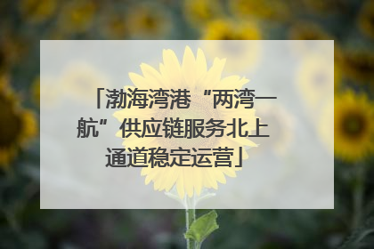 渤海湾港“两湾一航”供应链服务北上通道稳定运营