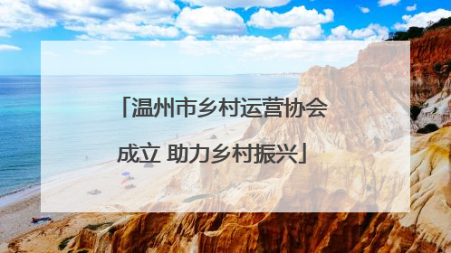 温州市乡村运营协会成立 助力乡村振兴