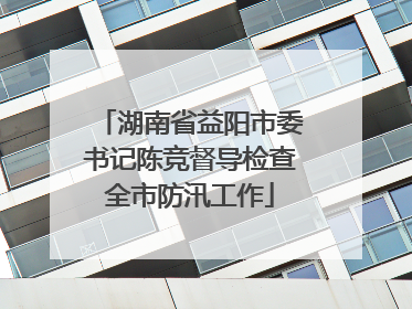湖南省益阳市委书记陈竞督导检查全市防汛工作