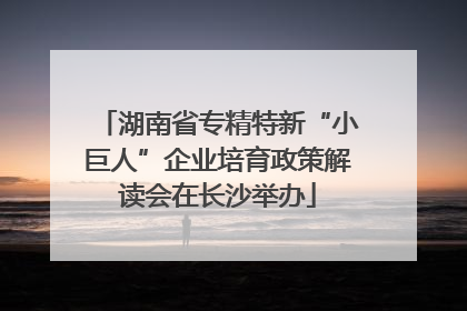 湖南省专精特新“小巨人”企业培育政策解读会在长沙举办