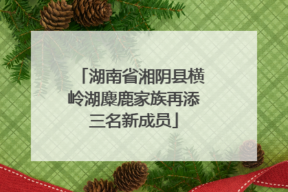 湖南省湘阴县横岭湖麋鹿家族再添三名新成员