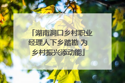 湖南洞口乡村职业经理人下乡踏勘 为乡村振兴添动能