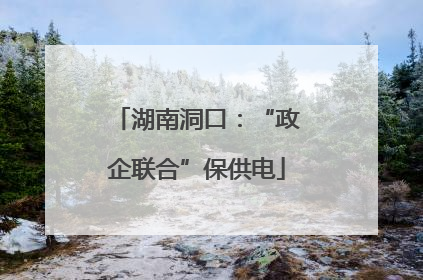 湖南洞口：“政企联合”保供电