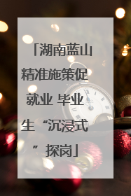 湖南蓝山精准施策促就业 毕业生“沉浸式”探岗
