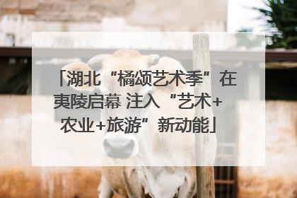 湖北“橘颂艺术季”在夷陵启幕 注入“艺术+农业+旅游”新动能