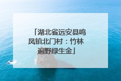 湖北省远安县鸣凤镇北门村：竹林遍野绿生金