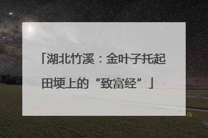 湖北竹溪：金叶子托起田埂上的“致富经”