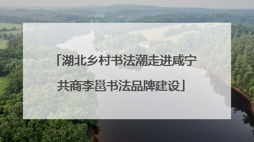 湖北乡村书法潮走进咸宁 共商李邕书法品牌建设