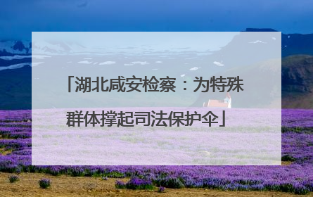 湖北咸安检察：为特殊群体撑起司法保护伞