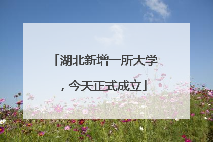 湖北新增一所大学，今天正式成立