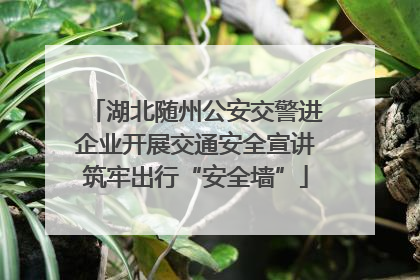 湖北随州公安交警进企业开展交通安全宣讲筑牢出行“安全墙”