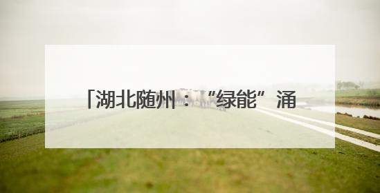 湖北随州：“绿能”涌动助力城市转型发展
