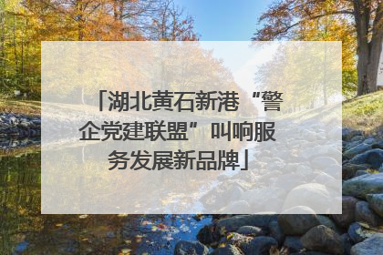 湖北黄石新港“警企党建联盟”叫响服务发展新品牌
